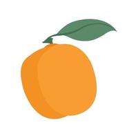 Orange fruit icon. Flat illustration of orange fruit vector icon