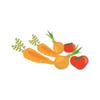 On a white background, carrots, tomatoes, and onions vector