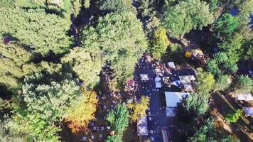 antenne visie van woon- Oppervlakte met bomen straten en huizen video