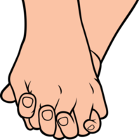 dos pares de manos en la ilustración de amor png