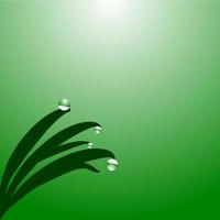 green background with water falling on leaves in the morning. vector