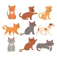 conjunto de lindos perros y gatos en diferentes poses. perros y gatos divertidos aislados sobre fondo blanco. ilustración vectorial plana vector