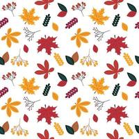 Autumn leaves seamless pattern on white background. Vector. vector