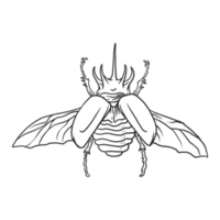 insetos de besouro com chifres e ilustração de bug png