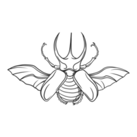 horned beetle Insects and bug illustration png