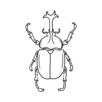 insectos escarabajo cornudo e ilustración de errores png