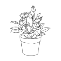 house plant illustration png