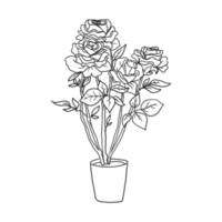 house plant illustration png