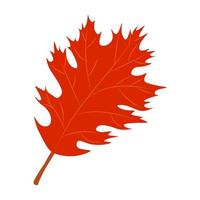 Autumn Leaves Vector Illustration. Autumn leaves. Top view of fall tree leaf. Flat vector