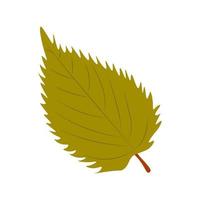 Autumn Leaves Vector Illustration. Autumn leaves. Top view of fall tree leaf. Flat vector