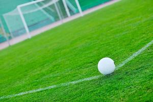 Soccer ball on grass at goal and stadium in background photo