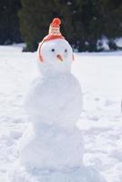 Winter snowman view photo