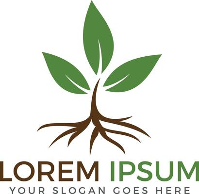 Tree Root and Leaves logo design.