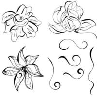 Flowers set. Ink drawing of flowers for a logo, icons with additional elements, lines, swirls. vector