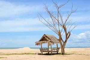 cabaña y árboles muertos en la playa y el fondo del cielo foto