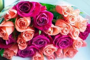 Background of peach and crimson roses. Beautiful coral roses, flowers bouquet close up. Bouquet of crimson and peach roses. photo