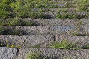 An old abandoned staircase overgrown with grass photo