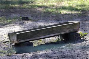 Wooden trough in the park for feeding herbivores photo