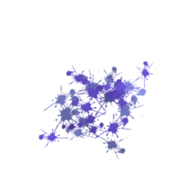 Irregular Freeform aesthetic abstract Handdraw Organic Shape. png