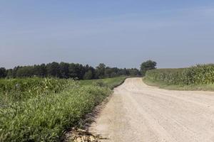 Rural road for cars and transport photo