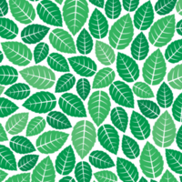 padrão de fundo com ilustração de folhas de hortelã fresca png