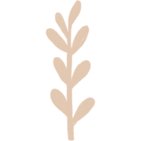 Simple linear plant flower leaf. Hand drawn botanical illustrations png