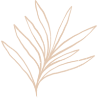 Simple linear plant flower leaf. Hand drawn botanical illustrations png