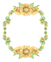 Sunflower frame, Flower wreath. Watercolor illustration. png