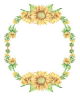 girasole telaio, fiore ghirlanda. acquerello illustrazione. png