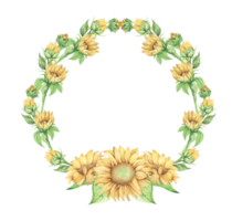 quadro de girassol, coroa de flores. ilustração em aquarela. png