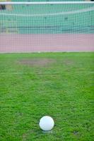 Balón de fútbol sobre el césped en el gol y el estadio en segundo plano. foto