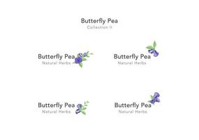 collection of Butterfly pea floral ornament vector