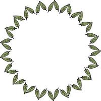 Round frame with decorative green leaves on white background. Vector image.