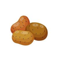 Potato. Set of vegetables with brown skin. Natural food. Village and country element. Crop of spud. Flat cartoon illustration isolated on white. Harvesting and sowing vector