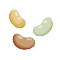 Bean grains. Different soya sprouts in flat style isolated on white background. Three Haricot vector