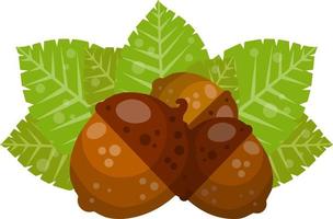 Hazelnut. Autumn harvest of wood. Natural food and a snack in a shell. Acorn. Brown forest object. Flat cartoon illustration vector