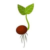 Sprout of plant. Small green leaves. Sprouted seed. Farm and gardening. Planting of crop. Element of nature and flora. Start of tree growth. Flat cartoon illustration vector