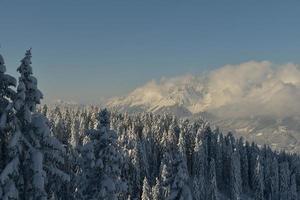 winter mountain landscape photo