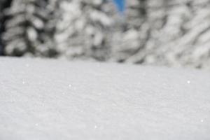 fondo de nieve de invierno foto