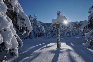 Wooden cross covered with fresh snow at beautiful fresh winter morning photo