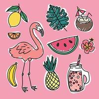 Collection of Summery Doodled Elements vector