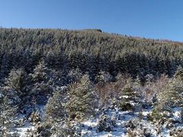 vista del paisaje de invierno foto