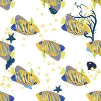 Emperor angelfish Pomacanthus imperator on white, sea animal wildlife character. Nature underwater, marine wild ocean zoo fish. vector