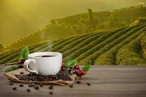 Hot coffee cup with fresh organic red coffee beans and coffee roasts on the wooden table and the black background with copyspace for your text. photo