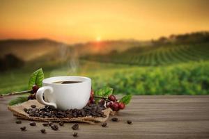 Hot coffee cup with fresh organic red coffee beans and coffee roasts on the wooden table and the black background with copyspace for your text. photo