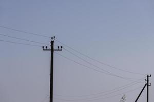 High-voltage power lines mounted on concrete poles photo