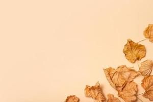 Autumn composition. Frame made of dried leaves on pastel beige background. Autumn, fall concept. Flat lay, top view, copy space photo