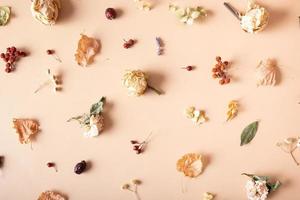 Autumn composition. Pattern made of dried leaves and flowers on pastel beige background. Autumn, fall concept. Flat lay, top view photo