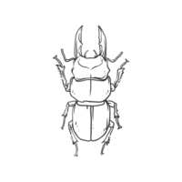 horned beetle Insects and bug illustration png