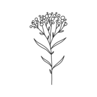 blumenlineart für hochzeits- und vintage-dekoration, florale illustration in der hand gezeichnet für gestaltungselement png